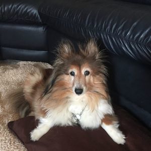 Meet your Posher, Terri